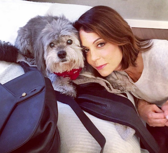 Love Your Pet Day - Bethenny Frankel