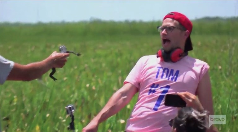 Tom 2 gators Tom 2 gators