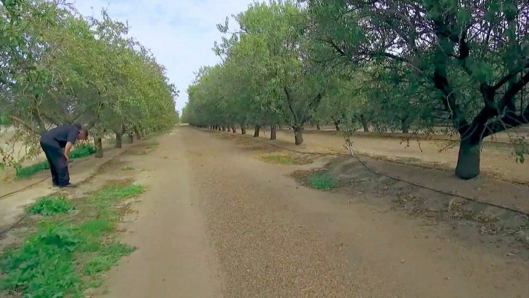 Love After Lockup Recap: Carwash Tricks Love After Lockup Recap: Carwash Tricks