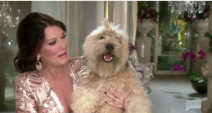 The Real Housewives of Beverly Hills Finale – Virtual Viewing Party The Real Housewives of Beverly Hills Finale – Virtual Viewing Party