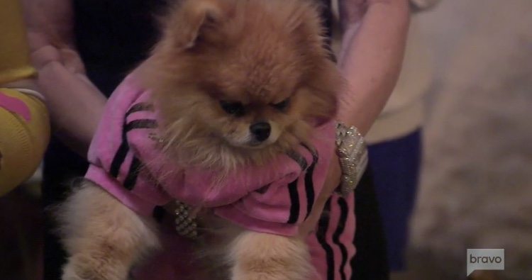 Vanderpump-Rules-Giggy-Vanderpump