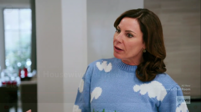 Luann de Lesseps Real Housewives Of New York