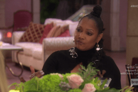 Garcelle Beauvais Real Housewives Of Beverly Hills