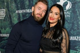 Artem Chigvintsev Nikki Bella