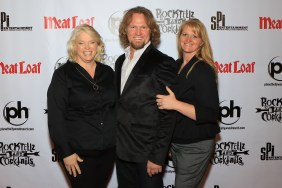 Sister Wives stars Janelle, Kody, and Christine Brown