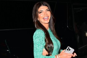 Teresa Giudice still denies committing a crime, despite serving jailtime and having plead guilty a decade ago