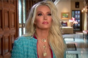 Erika Jayne Net Worth 2024: How Much Money Does RHOBH Star Make?