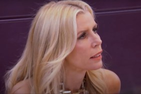 Aviva Drescher Net Worth 2024: How Much Money Does RHONY Star Make?