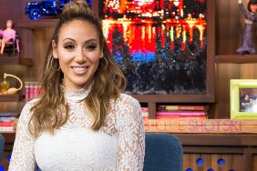 Melissa Gorga RHONJ on WWHL