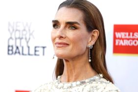 Brooke Shields miscarriage