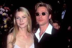 Brad Pitt and Gweneth Paltrow arriving at the 68th Annual Academy Awards in Los Angeles.