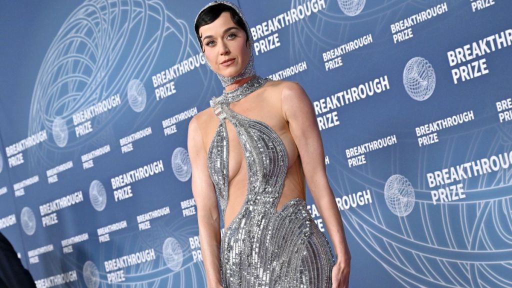 Katy Perry pay Blue Origin mission