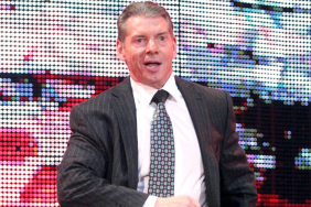 vince mcmahon WWE