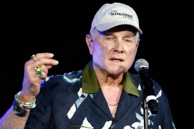 Mike Love Net Worth