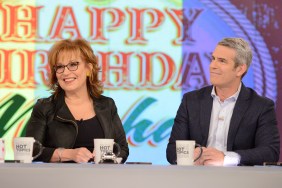 Joy Behar and Andy Cohen on The View