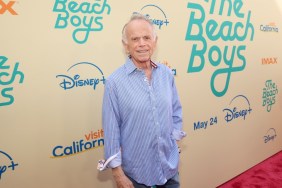 Al Jardine Net Worth 2025: How Much Money Does He Make?