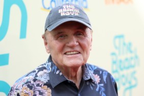 Bruce Johnston Net Worth 2025: How Much Money Does He Make?