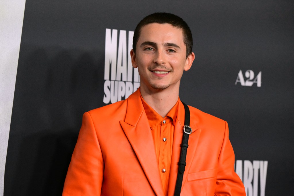 Timothee Chalamet