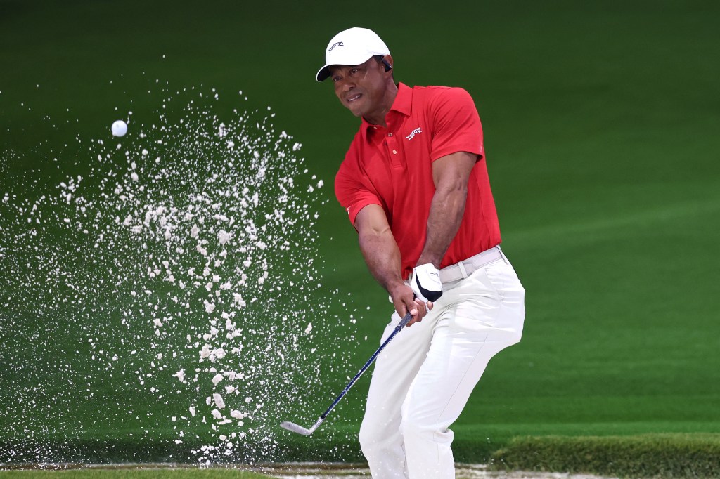 Tiger Woods 