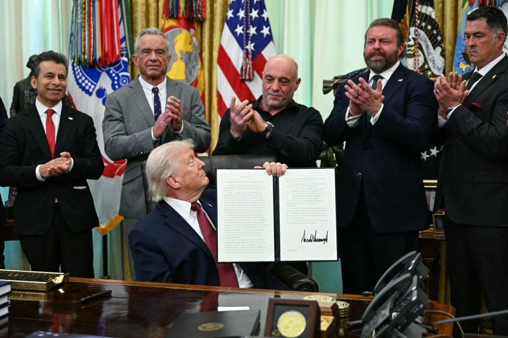 White House 